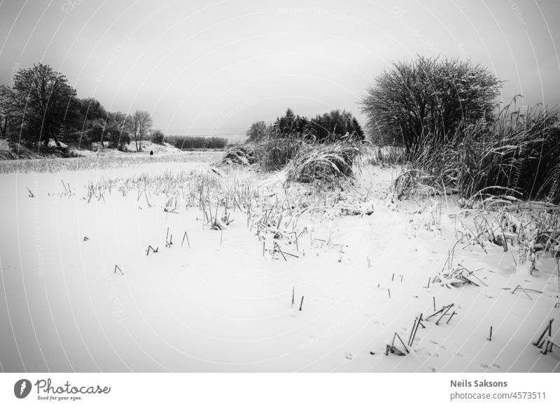 schwarz-weiße Winterlandschaft mit schnee- und eisbedecktem Teich, Bäumen und Büschen in der Weihnachtszeit abstrakt Hintergrund schön großer Frost