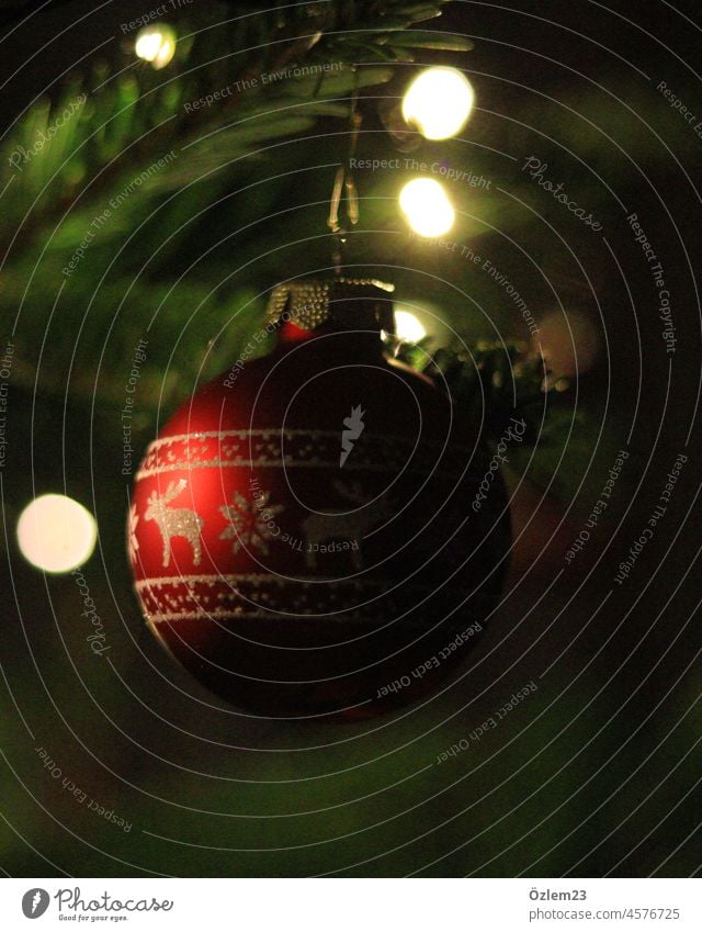 Rote Weihnachtskugel am Weihnachtsbaum Weihnachten & Advent Weihnachtsdekoration Dekoration & Verzierung Winter Stimmung Tradition Farbfoto Vorfreude