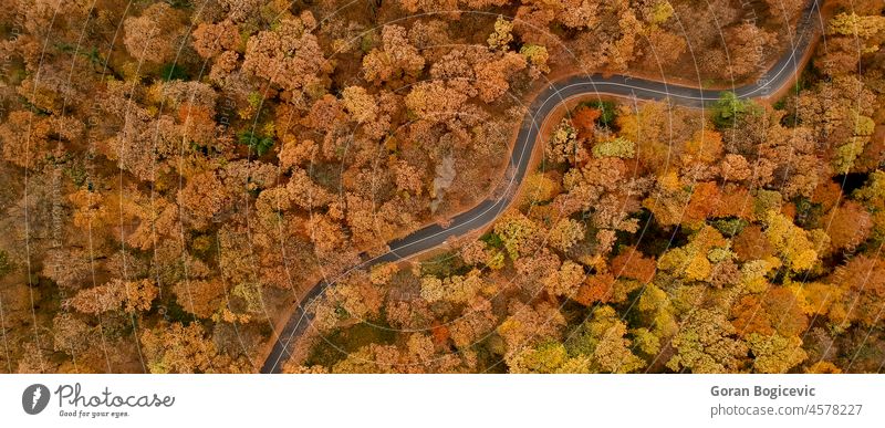 Luftaufnahme an der Straße im Herbstwald Natur Saison schön fallen orange Wald Antenne farbenfroh Top Park Waldgebiet Holz reisen Ahorn Laubwerk Landschaft
