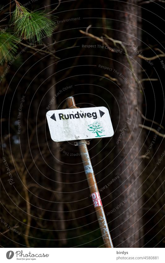 Rundweg, Schrift auf einem Blechschild an einem schiefen Pfosten vor einem Wald Schilder & Markierungen Richtung Pfeile Orientierung richtungweisend Wegweiser