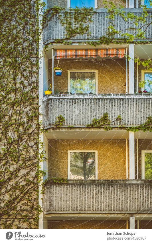 bewachsene Fassade mit Balkons an Plattenbau Wohnungen Bäume Baum grün Sommer Wohnblock wohnen wohnumfeld Miete Wohnhaus Mehrfamilienhaus begrünen wohnhaus