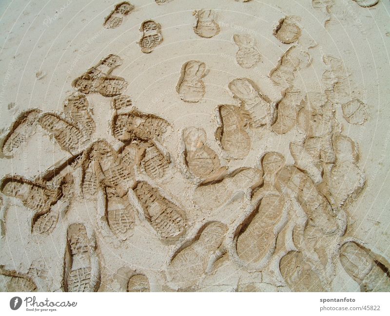 Quo vadis? schreiten chaotisch Irrläufer orientierungslos Verkehr Schuhabdrücke Wüste Sand dünn verirrt