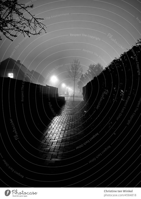 Nebelstimmung am Abend in einem ruhigen Wohngebiet mit einem einsamen dunklen Weg unheimlich Pflasterweg Straßenlaternen Häuser Wohnsiedlung Hecke Gartenzaun