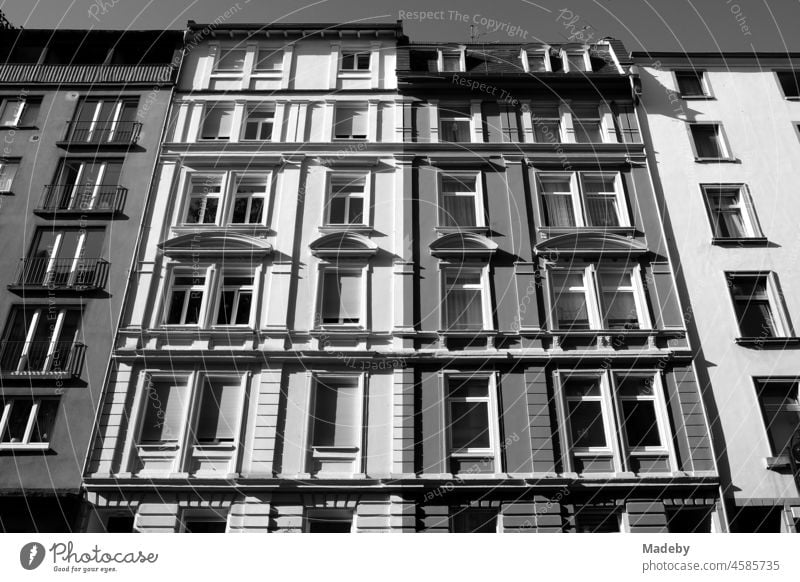 Schöne sanierte Fassade von Altbauten im Sommer bei Sonnenschein im Nordend von Frankfurt am Main in Hessen, fotografiert in neorealistischem Schwarzweiß Haus
