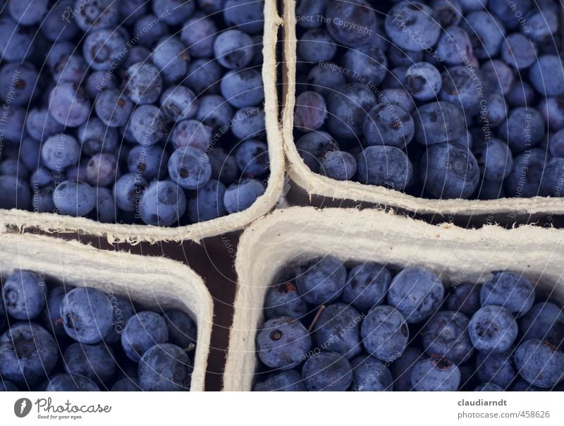 Blaubeer-Quartett Lebensmittel Frucht Blaubeeren Beeren Ernährung Bioprodukte Vegetarische Ernährung Schalen & Schüsseln Essen frisch Gesundheit lecker blau