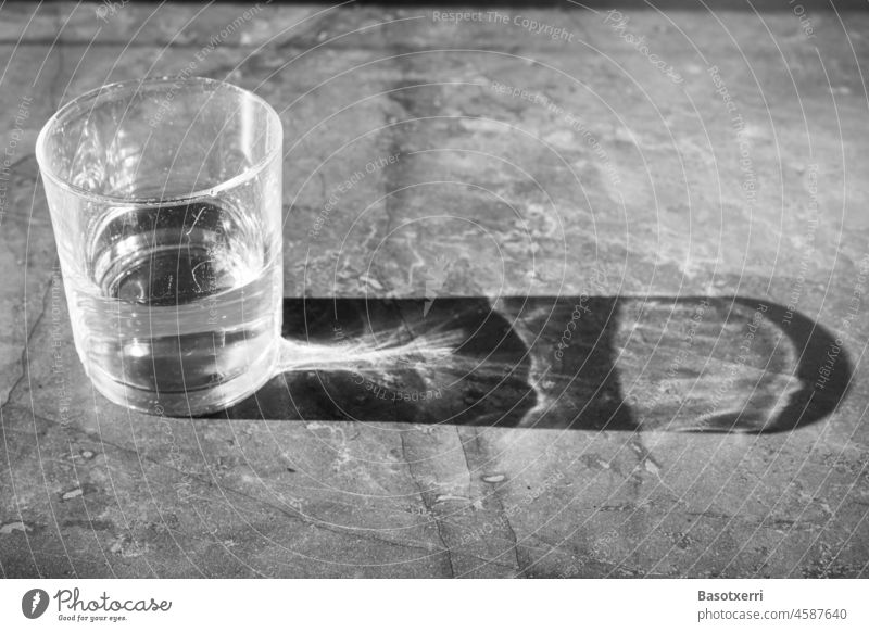 Halb voll oder halb leer? Zerkratztes Wasserglas mit langem Schatten auf einem marmoriertem Tisch. Schwarzweissbild. Licht Sonne Marmor Glas Trinkwasser trinken
