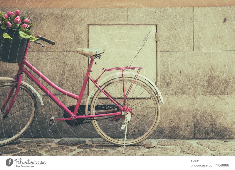 Mauer | mit freundlichen Grüßen Lifestyle kaufen Stil Freizeit & Hobby Fahrrad feminin Blume Tulpe Wand Verkehrsmittel stehen alt authentisch retro rosa