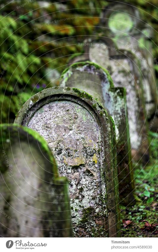 Erinnerungen. Gedanken und Gefühle. Ganz bewusst leben. Friedhof Grabstein Tod Trauer Vergänglichkeit Grabmal Religion & Glaube Stein Ewigkeit Frieden Schmerz