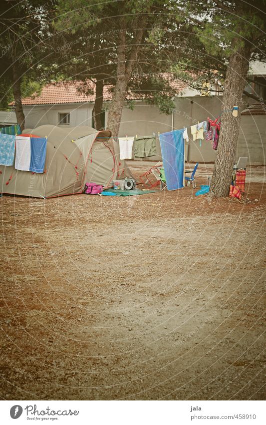 camping Ferien & Urlaub & Reisen Freiheit Camping Sommerurlaub Pflanze Baum Zeltlager wild Freude Farbfoto Außenaufnahme Menschenleer Textfreiraum unten