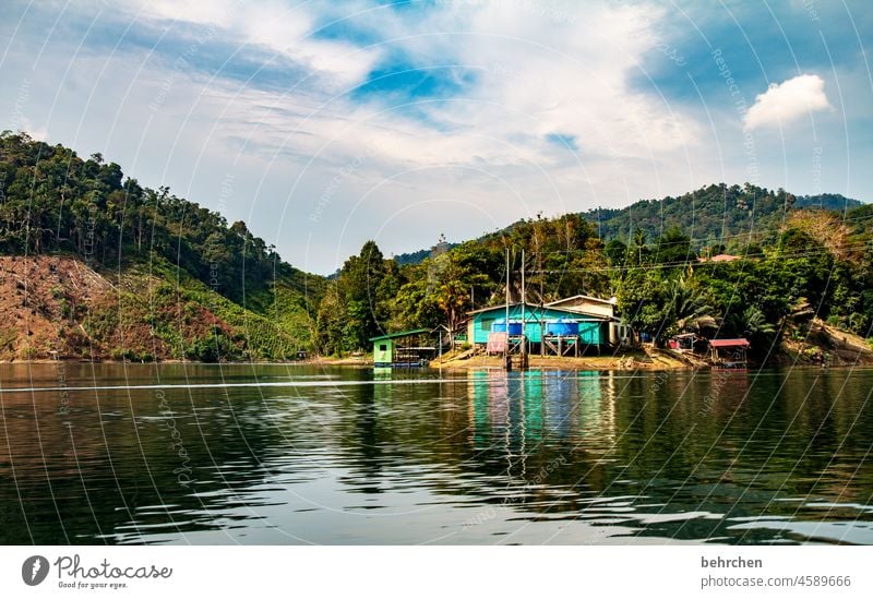 borneo Himmel Umwelt Natur Ferne Ferien & Urlaub & Reisen Abenteuer Landschaft Urwald Flussufer exotisch fantastisch Asien Malaysia Borneo Sarawak Iban ruhig