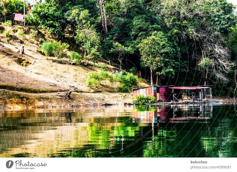 borneo Sarawak Iban traumhaft beeindruckend Idylle Fernweh Asien Malaysia Borneo außergewöhnlich Ferne Abenteuer Fluss Flussufer fantastisch Landschaft