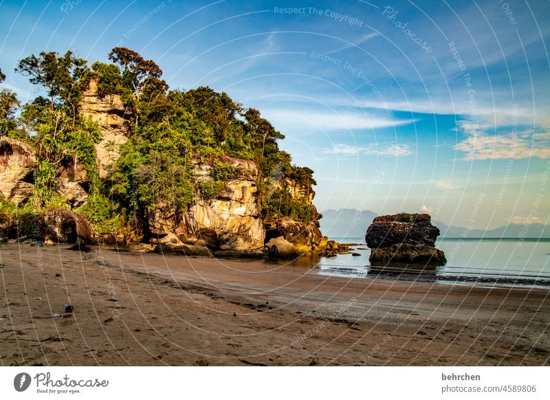 am meer beeindruckend Fernweh bako nationalpark Sarawak außergewöhnlich Strand Küste Meer Borneo Malaysia Asien fantastisch Felsen Landschaft Berge u. Gebirge