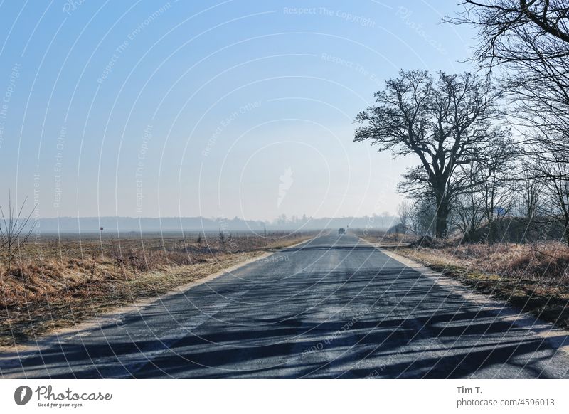 eine Landstraße im Winter. Links ein leeres Feld, rechts ein paar kahle Bäume . Polen Straße Farbfoto Menschenleer Landschaft Baum Außenaufnahme Verkehr kalt