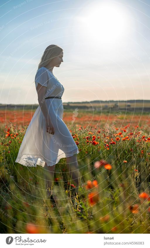 junge Frau genießt Abendsonne im  Mohnfeld sinnlich anmutig lächeln Kleid verführerisch Sonnenuntergang hübsch Wiese stehen Blumenwiese glücklich fröhlich