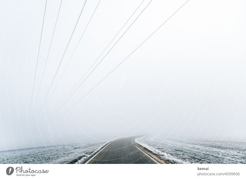 Einsame winterliche Strasse, die in den Nebel führt Straße Winter Leere kalt einsam Einsamkeit Eis Schnee weiß trist Tristesse Stromleitung Frost Landschaft