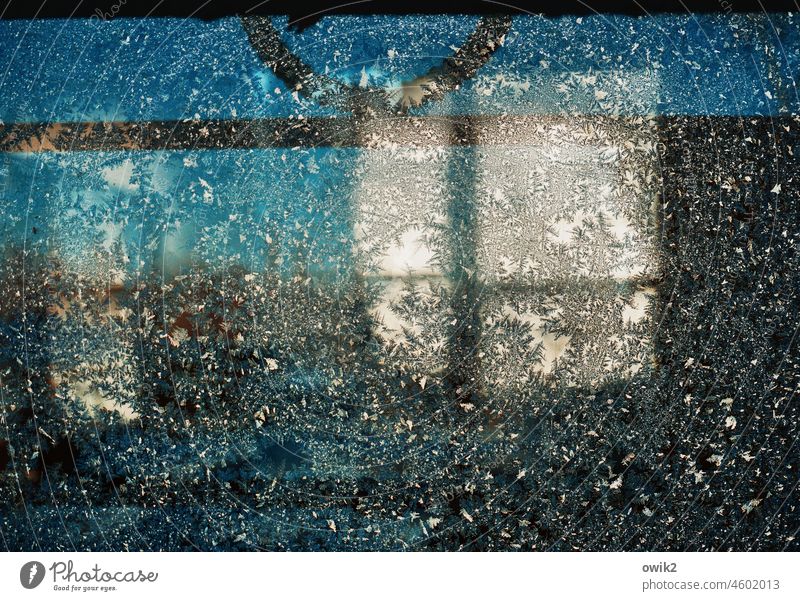 Eisblumenfenster Eiskristall Winter Fensterscheibe Muster Strukturen & Formen abstrakt Makroaufnahme Detailaufnahme Nahaufnahme Innenaufnahme Farbfoto