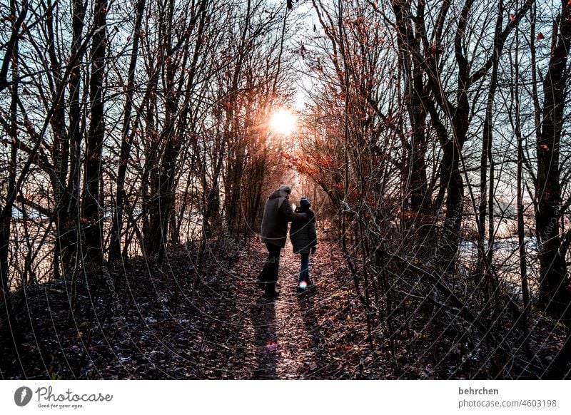 herbstwanderer Blätter Herbstwetter Herbstlandschaft Herbstwald Sonne Idylle herbstspaziergang Herbstfärbung herbstlich Herbststimmung Jahreszeiten Herbstlaub