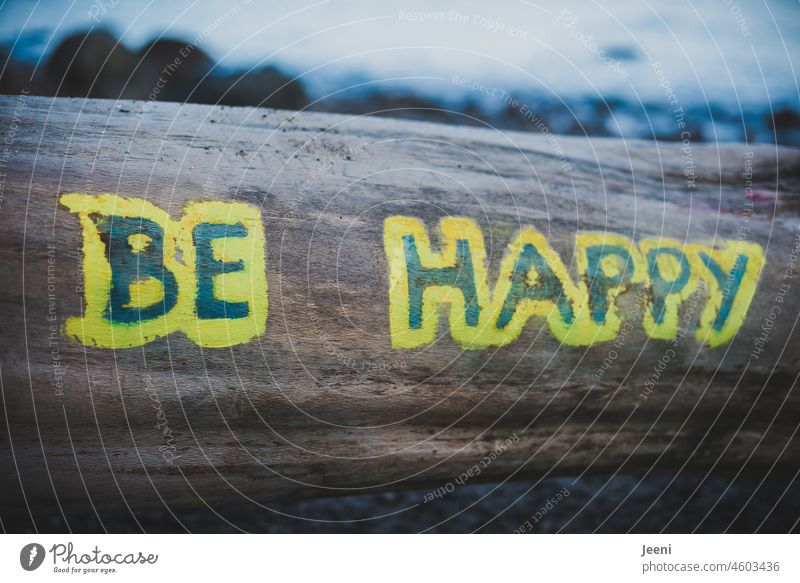 Sei glücklich 🙂 be happy Glück gemalt geschrieben Baumstamm Strand malen Farbe Wasser Freiheit Freude Gefühle Fröhlichkeit Zufriedenheit positiv Optimismus