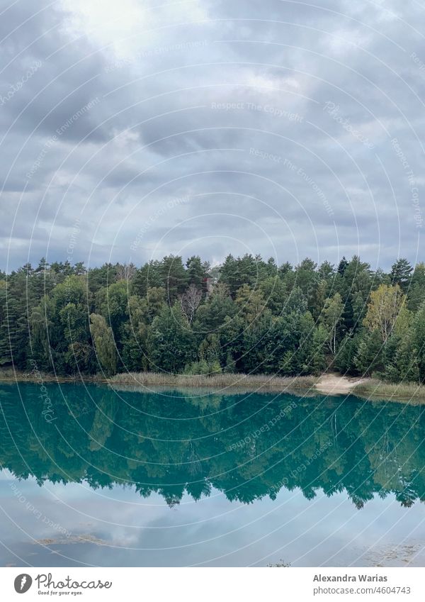 Bäume am See spiegeln sich in blauem Wasser unter bewölktem Himmel Bäume im See Wald Waldrand Waldstimmung Seeufer Waldsee seewasser bewölkter himmel