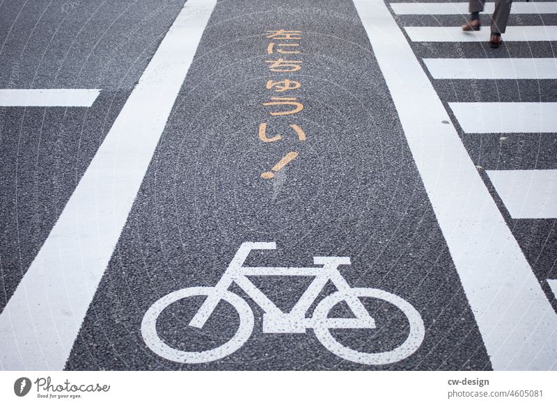 Japanischer Fahrradweg neben einem Zebrastreifen Asphalt Fahrradfahren Verkehrswege Wege & Pfade Straße Straßenverkehr Verkehrsmittel Mobilität Fahrradtour