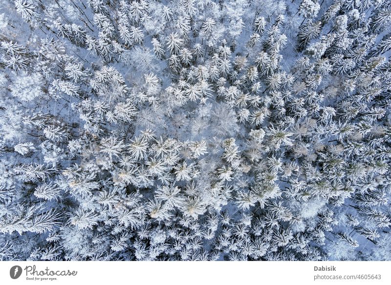 Schöner Winterwald mit verschneiten Bäumen, Luftaufnahme Schnee Wald Antenne Landschaft Berge Winterlandschaft Natur abstrakt Hintergrund schön kalt Tag Dröhnen