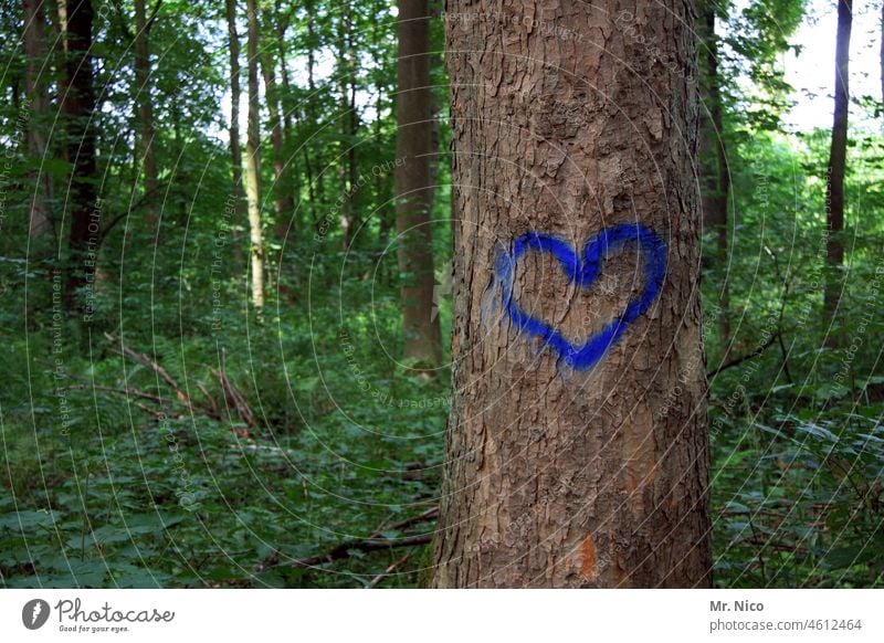 baumtattoo Romantik Liebe Zeichen Herz Natur Baum herzform Verliebtheit Liebeserklärung Symbole & Metaphern herzlich Liebesgruß Liebesbekundung Gefühle