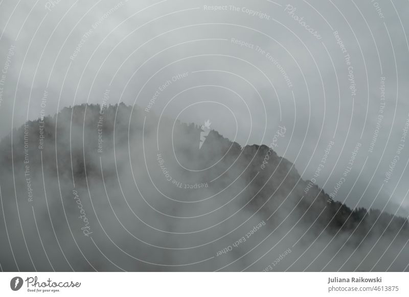 Berg im Nebel im Herbst Textfreiraum oben Pflanze Endzeitstimmung grau schlechtes Wetter Klima grün ruhig Idylle Bayern Deutschland Alpen kühl Aussicht