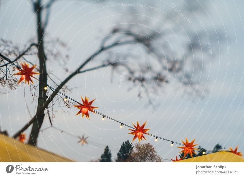 Weihnachtssterne im kahlen Baum im Winter trüb trüber Himmel rot leuchten Herrnhuter Stern Äste Tilt Unschärfe Bokeh Weihnachten hängen Deko Außendekoration