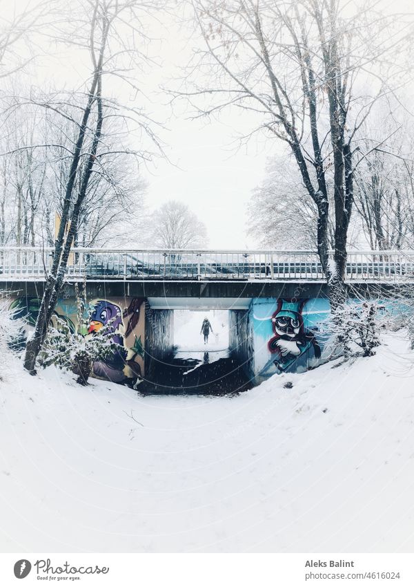 Spaziergang im Schnee Unterführung Graffiti Brücke Außenaufnahme Farbfoto Winter Winterstimmung winterlich Kälte Buchcover Landschaft kalt Winterlicht weiß blau