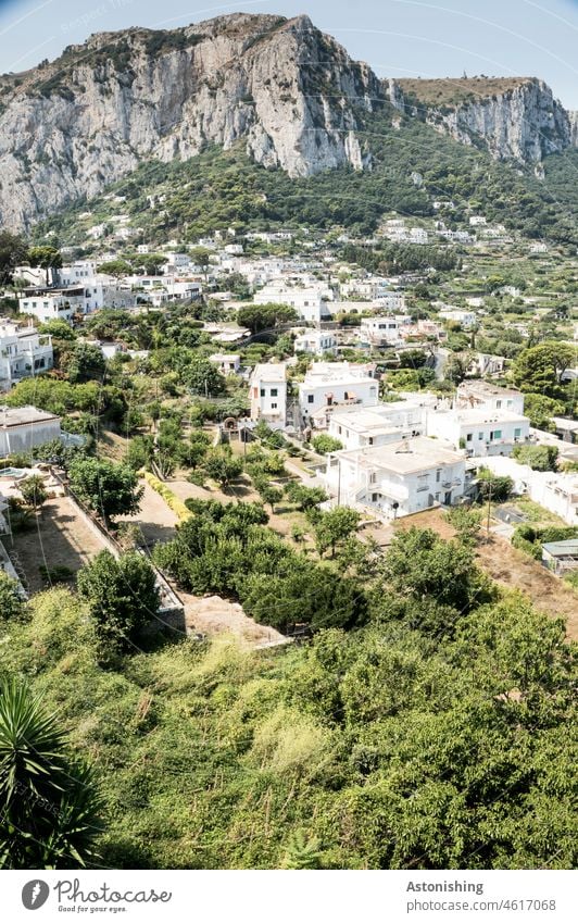 Blick auf Capri Insel Stadt Dorf Aussicht Häuser weiß Gebäude Berg Gebirge Felsen Stein Natur Landschaft Bäume Wetter Urlaub Hitze steil Himmel Horizont