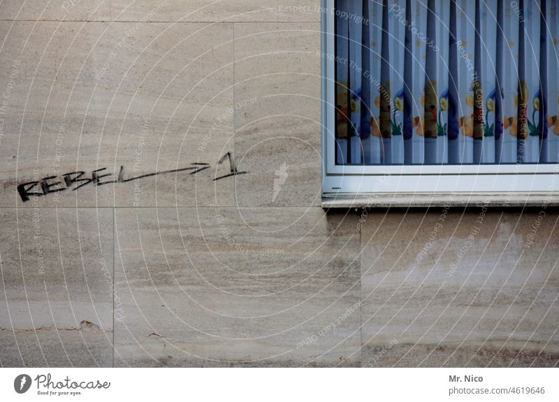 Rebellion im Kinderzimmer Graffiti grau Fenster Vandalismus beschmiert Fassade trist Wohnung Gebäude Haus Schriftzeichen Text Politik & Staat Schmiererei Stadt