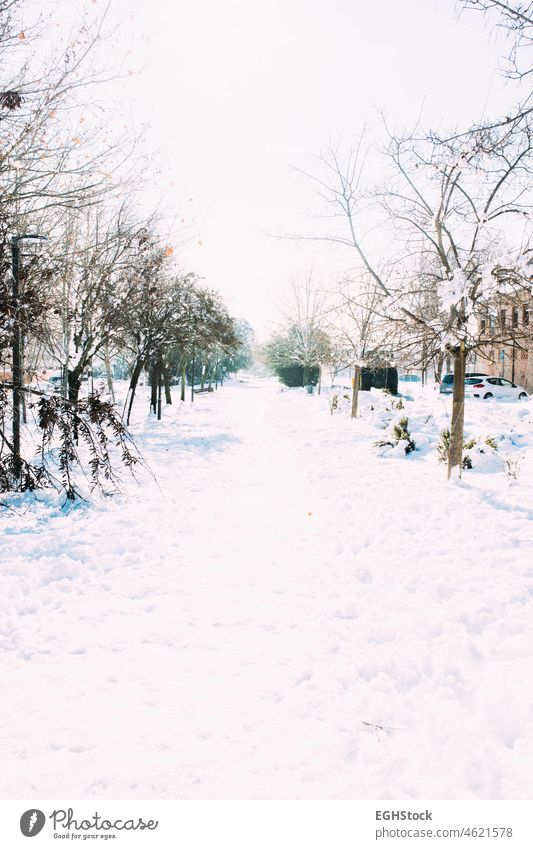 Leere Straße nach einem großen Schneefall Winter Großstadt im Freien Saison Wetter kalt weiß Frost Baum verschneite Schneesturm Tag Eis gefroren Unwetter