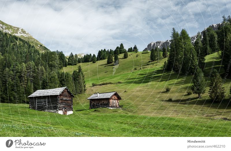 Alpine Eigenheime: Halbprofil Ferien & Urlaub & Reisen Himmel Wolken Sommer Wetter Schönes Wetter Baum Gras Wiese Wald Felsen Alpen Berge u. Gebirge Gipfel Alm