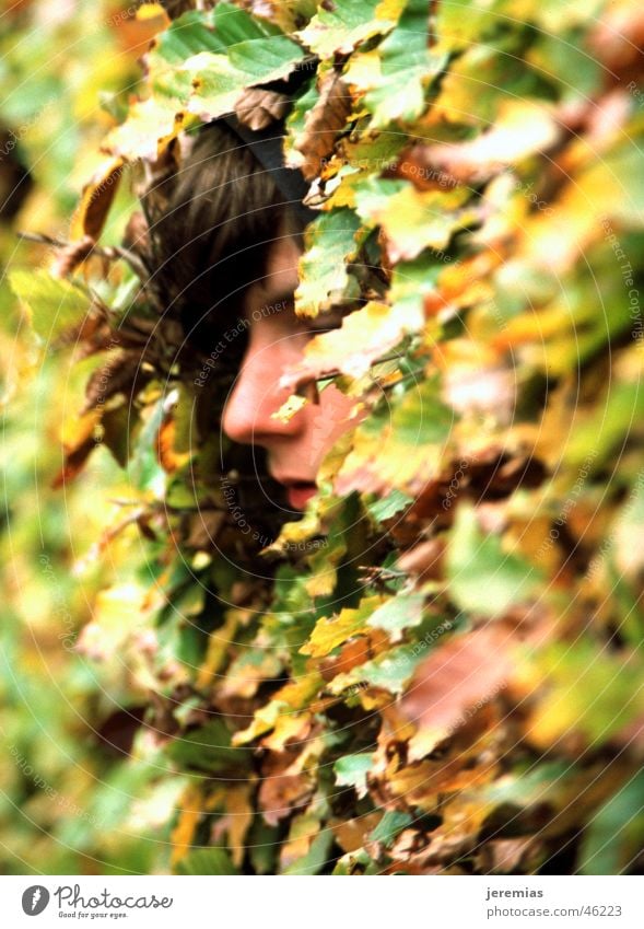 Der Junge im Busch flüchtig Blatt grün gelb analog Dia Tiefenschärfe Außenaufnahme Gesicht verstecken geschlossen