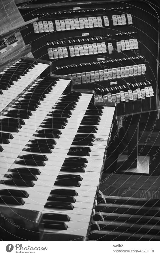 Tonleiter Musikinstrument Orgel Reinheit Rechtschaffenheit Religion & Glaube Innenaufnahme Menschenleer Tradition ruhig alt historisch Gottesdienst Gotteshaus