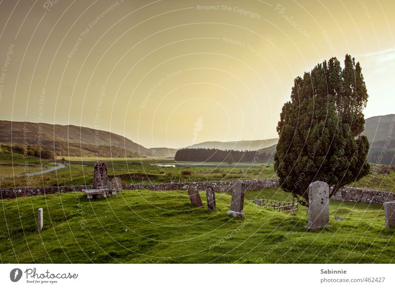 [Skye 15] Clearance Villages Umwelt Natur Landschaft Urelemente Himmel Sonne Klima Schönes Wetter Pflanze Baum Hügel Isle of Skye Schottland Dorf Menschenleer