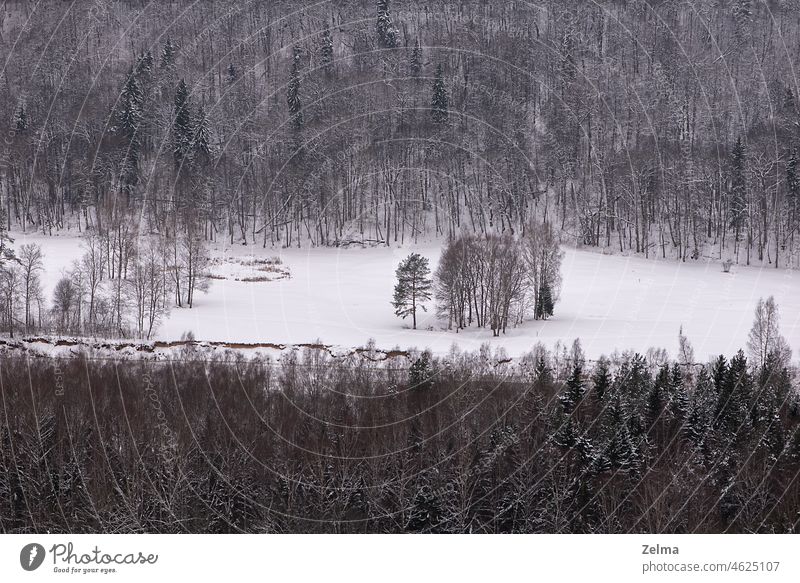Luftaufnahme einer Winterlandschaft mit kahlen Bäumen und verschneitem Feld Antenne Landschaft kahle Bäume Waldgebiet oben obere Ansicht Schnee Berge u. Gebirge
