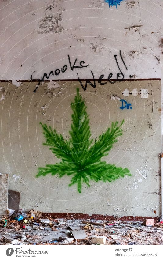 Smoke Weed! steht mit schwarzer Farbe an eine Wand gesprüht, ergänzt von einem grünen Hanfblatt Rauch Rauchen Zigarette Joint ungesund Erholung Graffito