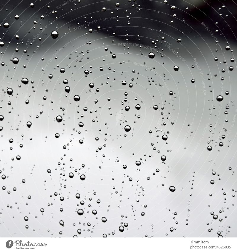 Regen, schön… Regentropfen Wasser Tropfen Wetter Glasscheibe Fenster Wassertropfen Nahaufnahme Schwarzweißfoto Hintergrund Menschenleer glänzend