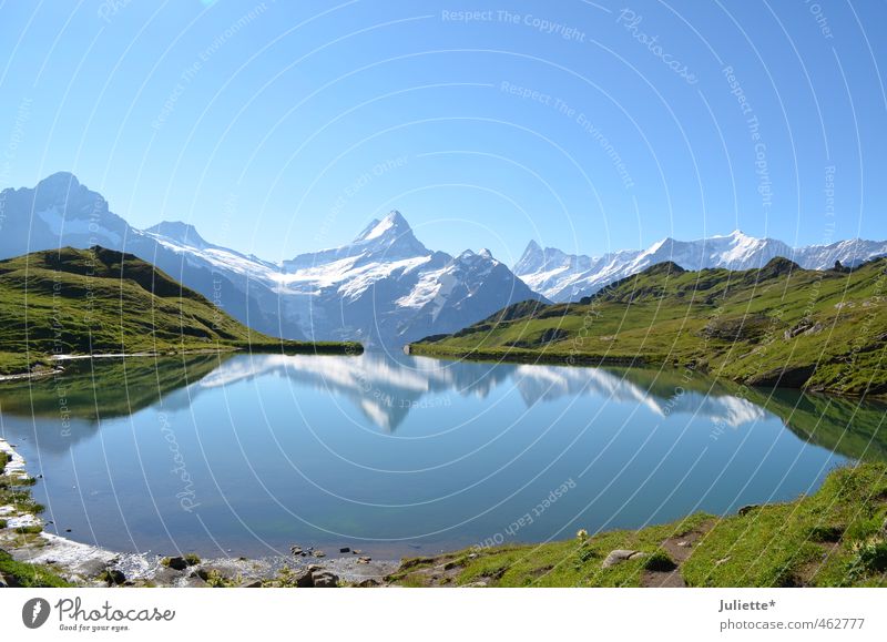 Bergspiegelung Natur Landschaft Erde Wasser Himmel Wolkenloser Himmel Sommer Wetter Schönes Wetter Gras Berge u. Gebirge Schweiz Gipfel Gletscher See Bergsee