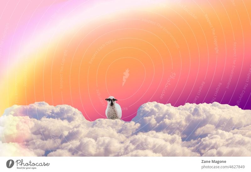 Collage von Schafen in Wolken und Regenbogen, Träume und Fantasie Konzept Phantasie träumend schlafen Farben fantastisch surreal Surrealismus Himmel abstrakt