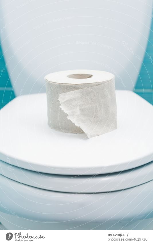 zerrissene Klopapierrolle liegt auf dem geschlossenen Deckel der Toilettenschüssel wc Wasserklosett Toilettenpapier Papier weiß Gewebe bumf Becken