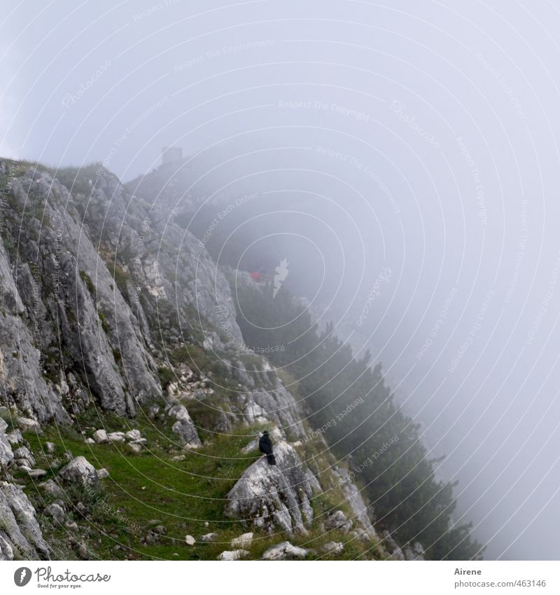 Hat der Berg ein' Hut... Felsen Nebel Wolken Gipfel Alpen Untersberg Berge u. Gebirge wandern schroff steil unwirtlich Klettern Bergsteigen Natur Landschaft