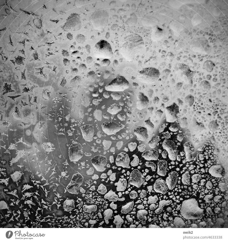 Gletscherdrift Wassertropfen viele Idylle Fensterscheibe Schwarzweißfoto Muster Innenaufnahme abstrakt natürlich klein kalt frieren Glas Frost Eis Wetter Winter