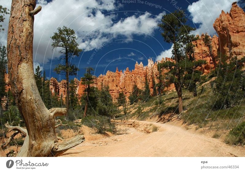 Bryce Canyon 1 Nationalpark Schlucht rot Ferien & Urlaub & Reisen Außenaufnahme USA blau Natur Wege & Pfade Stein Freiheit Sonne Kontrast Naturwunder Tag
