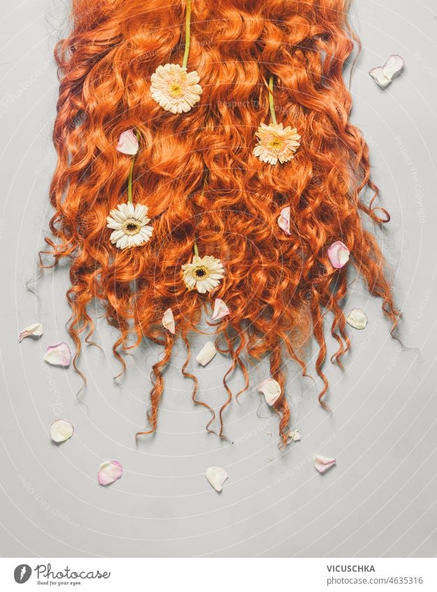 Langes rotes gelocktes Haar mit weißen, gelben und rosa Blütenblättern auf hellgrauem Hintergrund. lang lockig Behaarung Schönheit Konzept Blumen Friseur