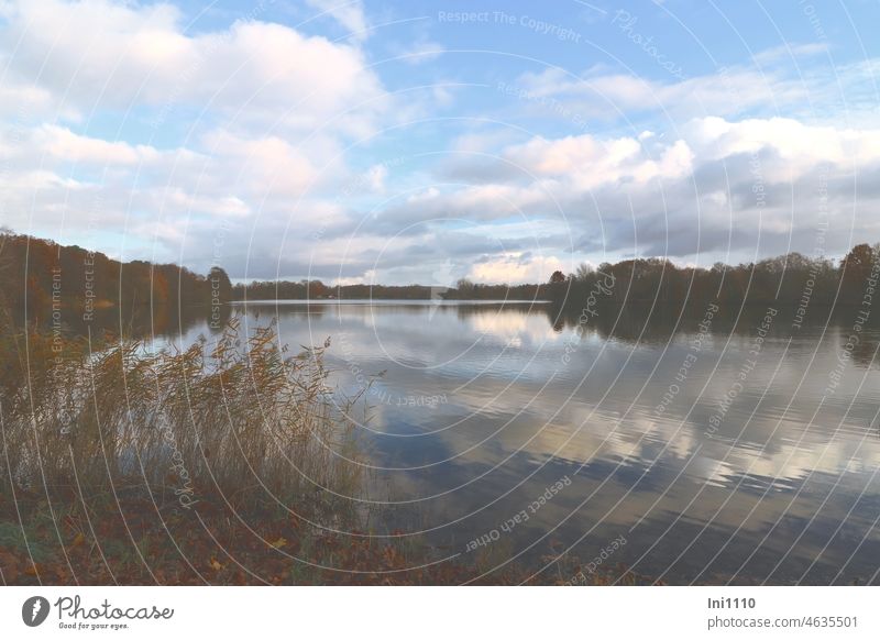 Wolkenspiegelung im Torfmoorsee Landschaft Natur Herbst Herbststimmung schönes Wetter Herbstfärbung Wasser See Himmel Wolkenhimmel Spektakel Spiegelung