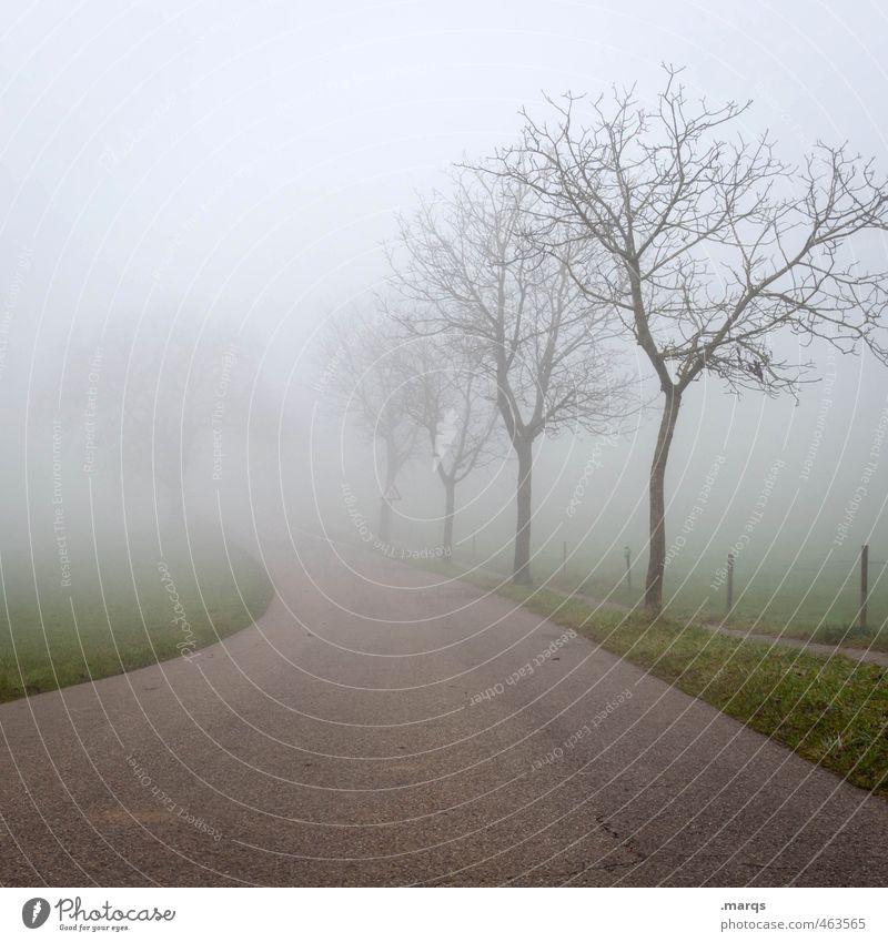 Loss Ausflug Umwelt Natur Landschaft Herbst schlechtes Wetter Nebel Baum Verkehr Straße Wege & Pfade einfach Zukunft ungewiss Orientierung kahl Farbfoto