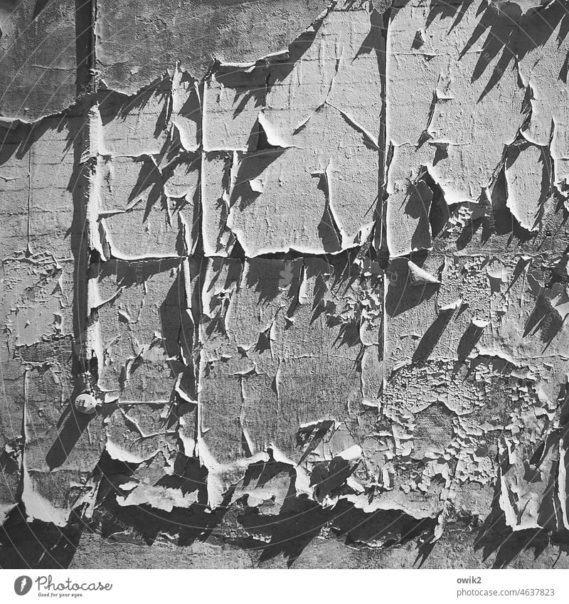 Vorübergehend Wand Strukturen & Formen Detailaufnahme abgerissen Menschenleer Außenaufnahme alt trashig kaputt Vergänglichkeit Rest Fetzen abstrakt