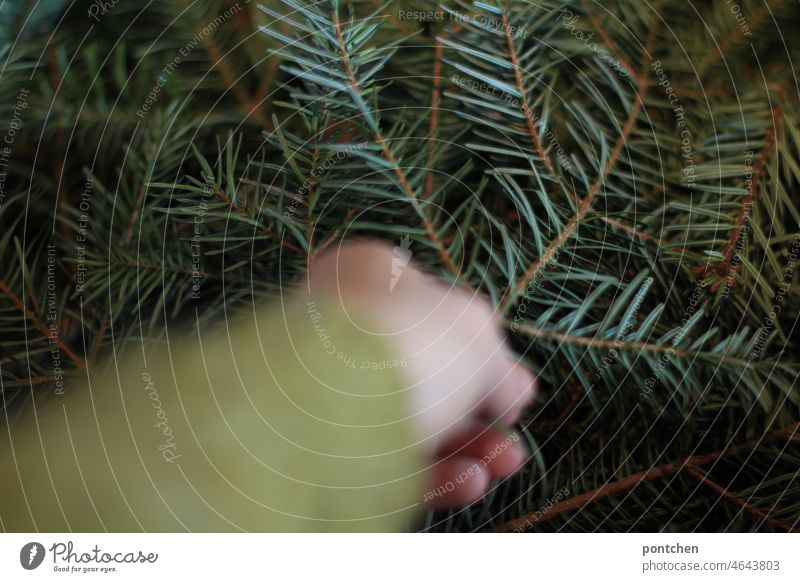 Ein Arm bewegt sich zu einem Tannenzweig eines Christbaumes. Weihnachtsbaum schmücken. Weihnachtsbaum tannenzweig weihnachten christbaum arm grün unschärfe